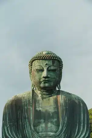 Asiantuntijoiden näkemyksiä