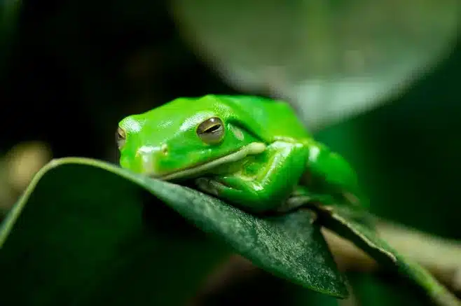 Hyvä hammashygienia on perusta