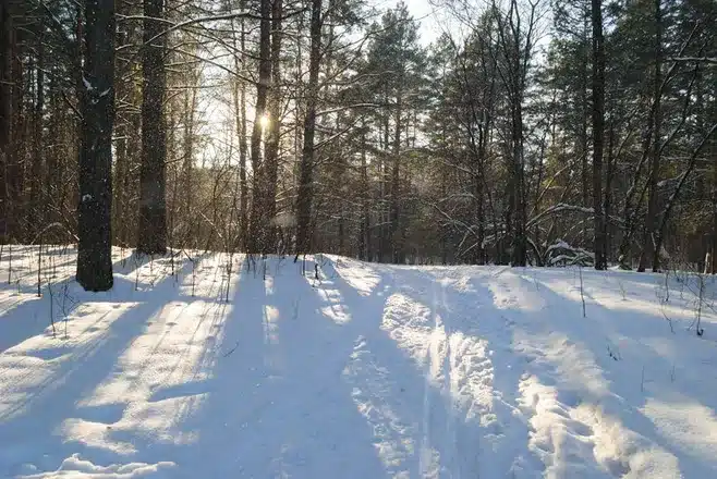 Kadonnut Lapista