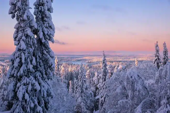 Päätelmä