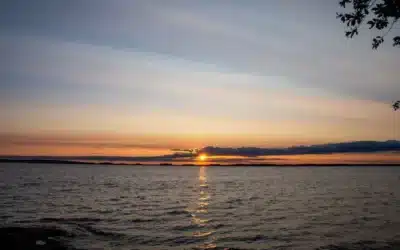 Päätelmä